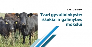 2023-05-25 anonsas_mažas-5bc6cdf46ea32f680210d8f13bfbf3c9-14c820836fabe645615c29dcea0361b2.jpg